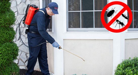 Zile Kene İlaçlama böcek ilaçlama ve haşere kontrolü — ilaclama-tr.com